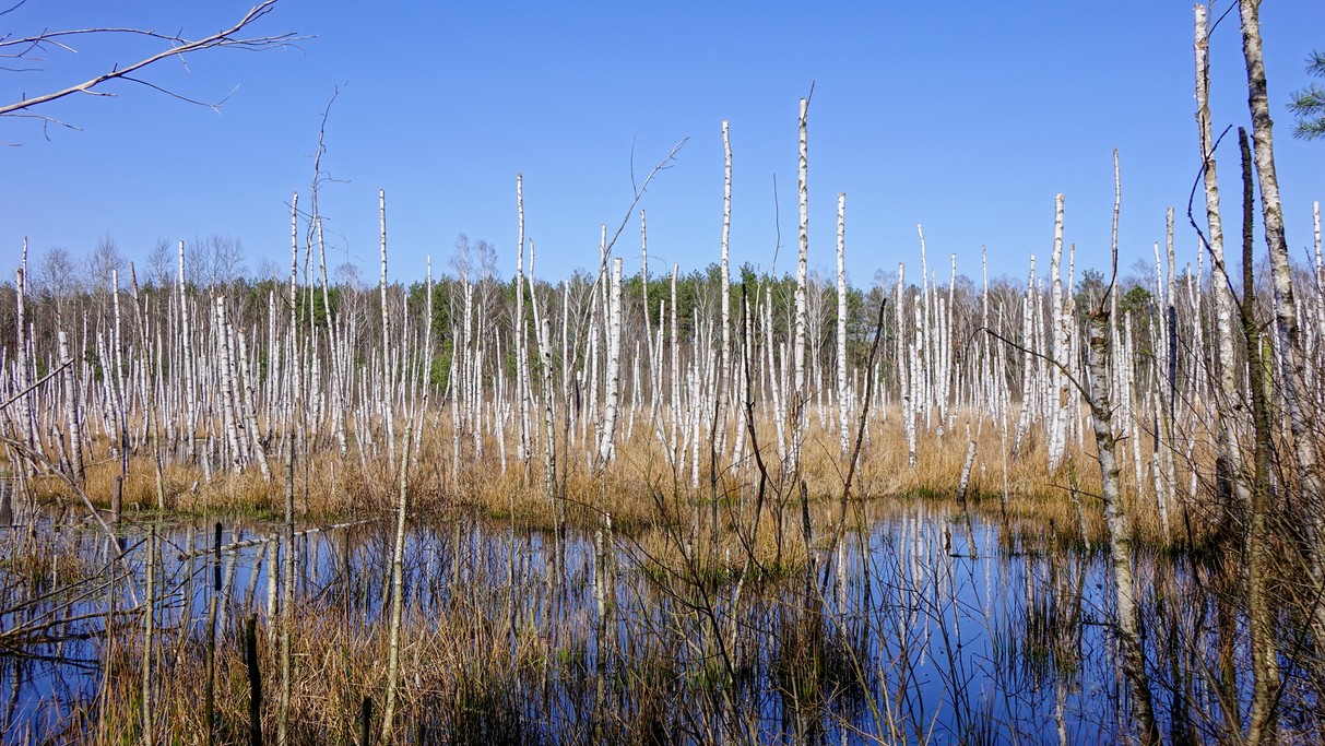 Polskie krajobrazy w 2018 roku - zdjęcie 48