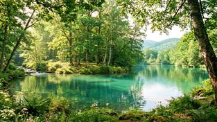 10-04-2026 03:59 Olbrzymi huk i kłęby pyłu. W Bieszczadach nagle powstały trzy jeziora