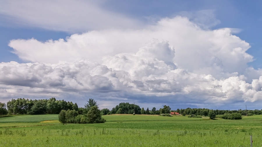 16.05.2020 09:00 Z dużej chmury mały deszcz. Ile prawdy jest w tym staropolskim przysłowiu i dlaczego?