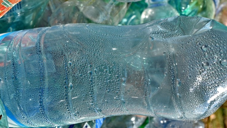 Japończycy chcą produkować ekologiczny plastik. Będzie wytwarzany z alg