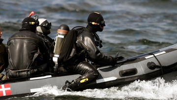 Morze wyrzuciło na brzeg rozczłonkowane ciało. Policja potwierdza: to zwłoki szwedzkiej dziennikarki