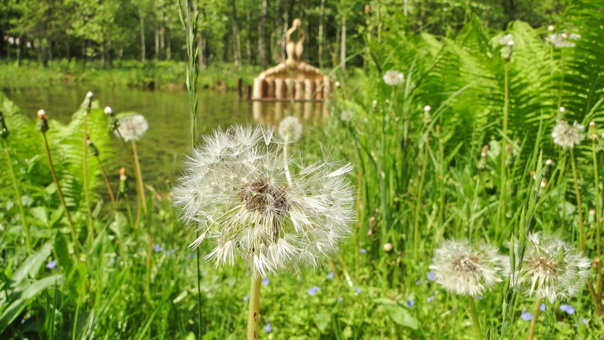 Zakochaj się w Polsce - zdjęcie 41