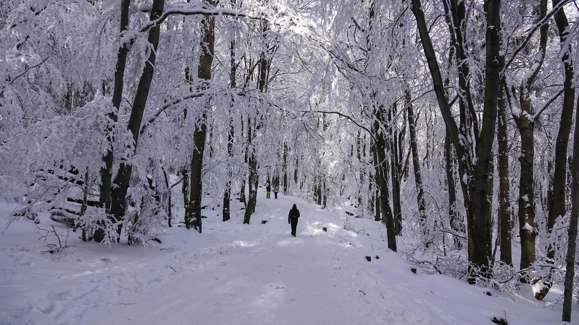 Kraina Narnii - zdjęcie 15