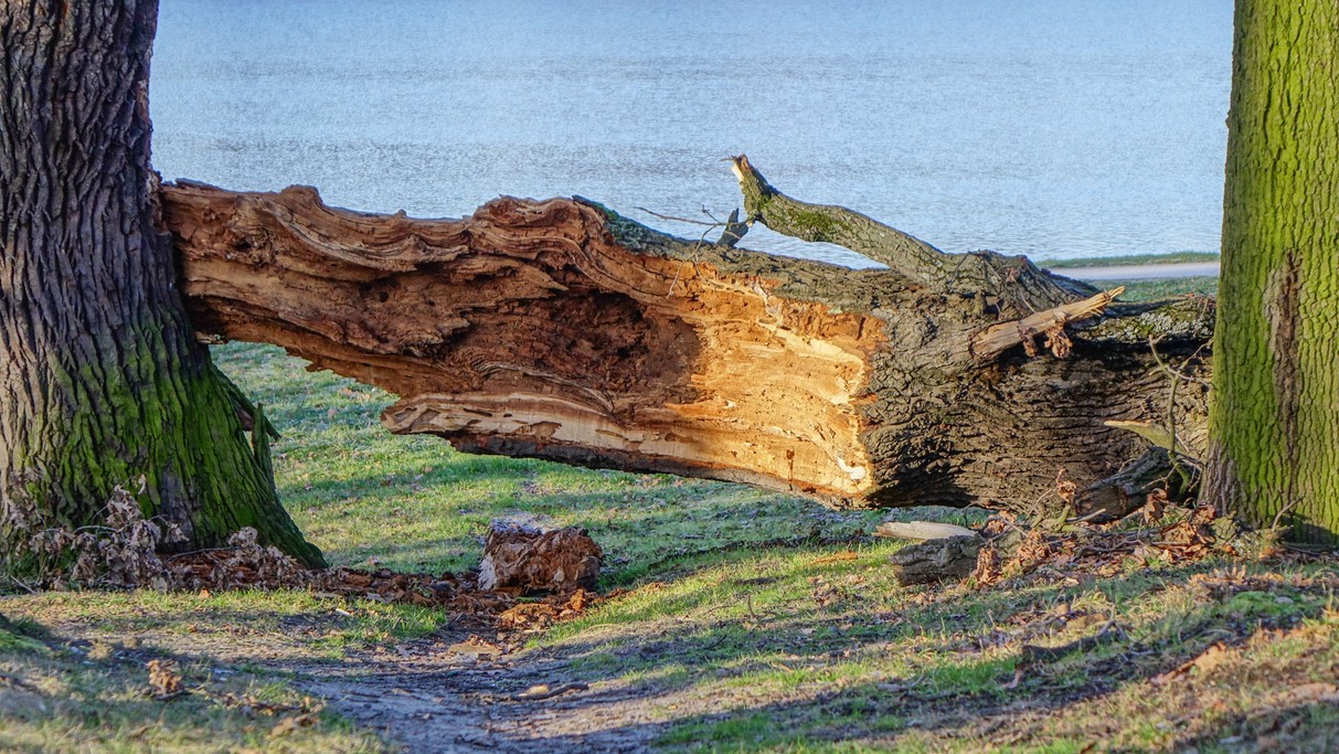 Styczeń w obiektywie - zdjęcie 36