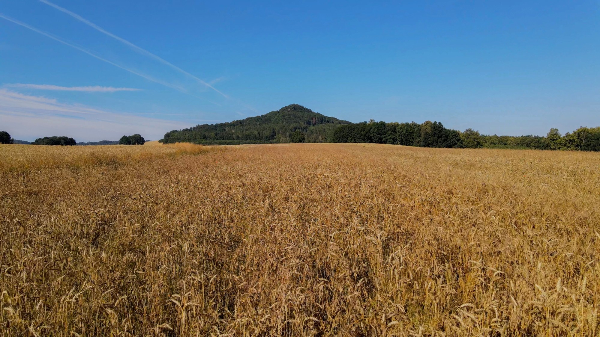 Ostrzyca - polski wygasły wulkan - zdjęcie 8