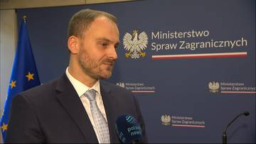 Mężczyzna w ciemnym garniturze i jasnej koszuli z krawatem, z krótką brodą, stoi przed niebieską ścianą z białym logo Ministerstwa Spraw Zagranicznych i godłem Polski. Z lewej strony widoczna jest niebieska flaga z żółtymi gwiazdami. Przed mężczyzną znajduje się mikrofon z napisem "Polsat News".