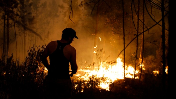 Portugalia: pożary lasów w centrum kraju. Sąsiadom pomogła Hiszpania