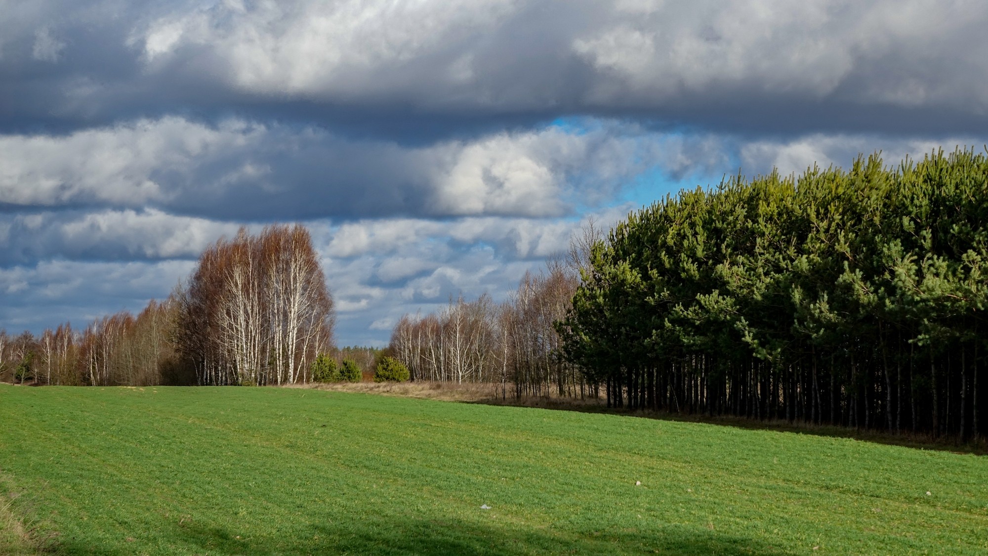 100 najpiękniejszych zdjęć 2020 roku - zdjęcie 89