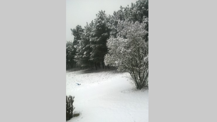 W okolicach Wrocławia napadało śniegu. Zima nie daje o sobie zapomnieć!