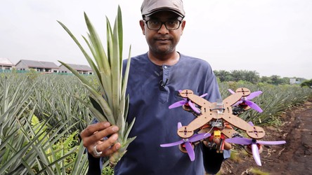 Naukowcy zmienili liście ananasa w części do drona. Oto wstęp do produkcji eko-dronów