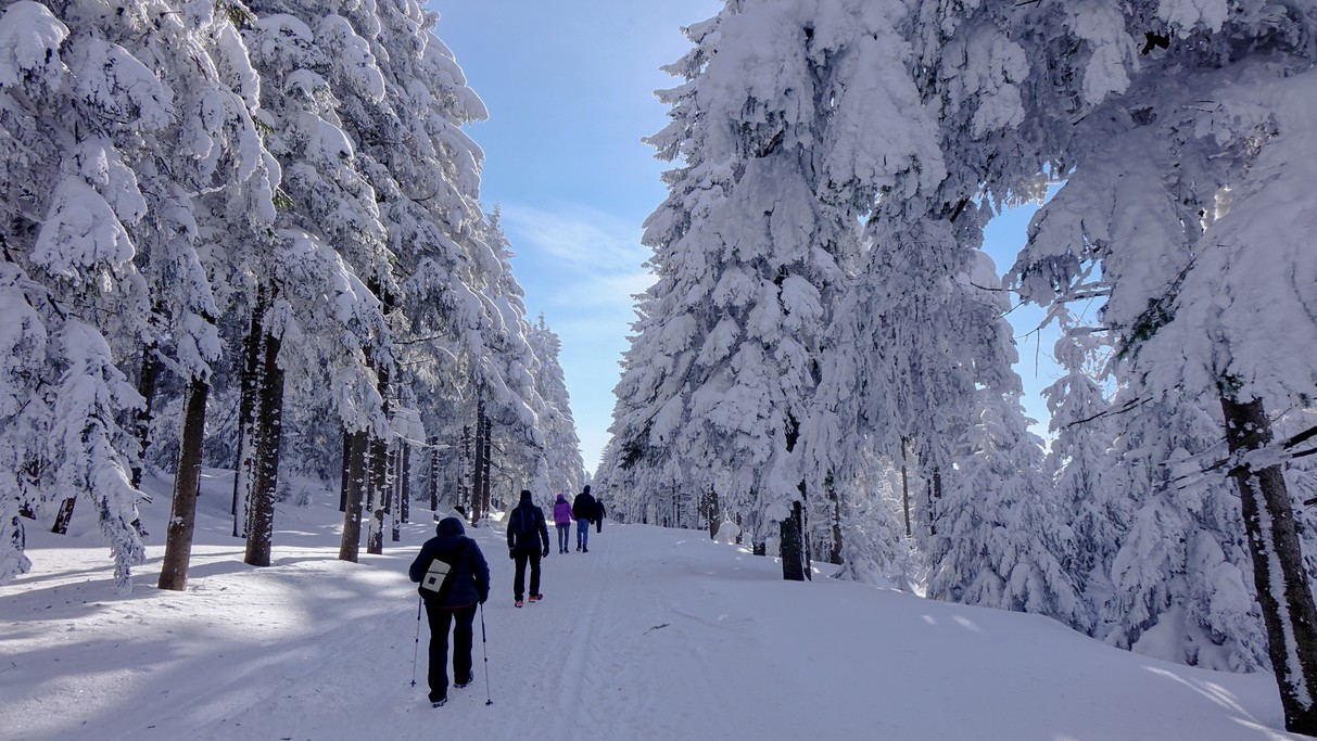 Polskie krajobrazy w 2018 roku - zdjęcie 28