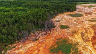 19.07.2020 07:00 Kolejna katastrofa ekologiczna w Rosji. Z kopalni miedzi wypłynęła pomarańczowa rzeka kwasu