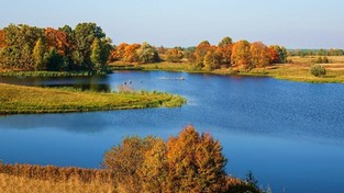 16.10.2020 04:00 Kolorowa jesień na Podlasiu. Zobacz, jak pięknie jest tam o tej porze roku