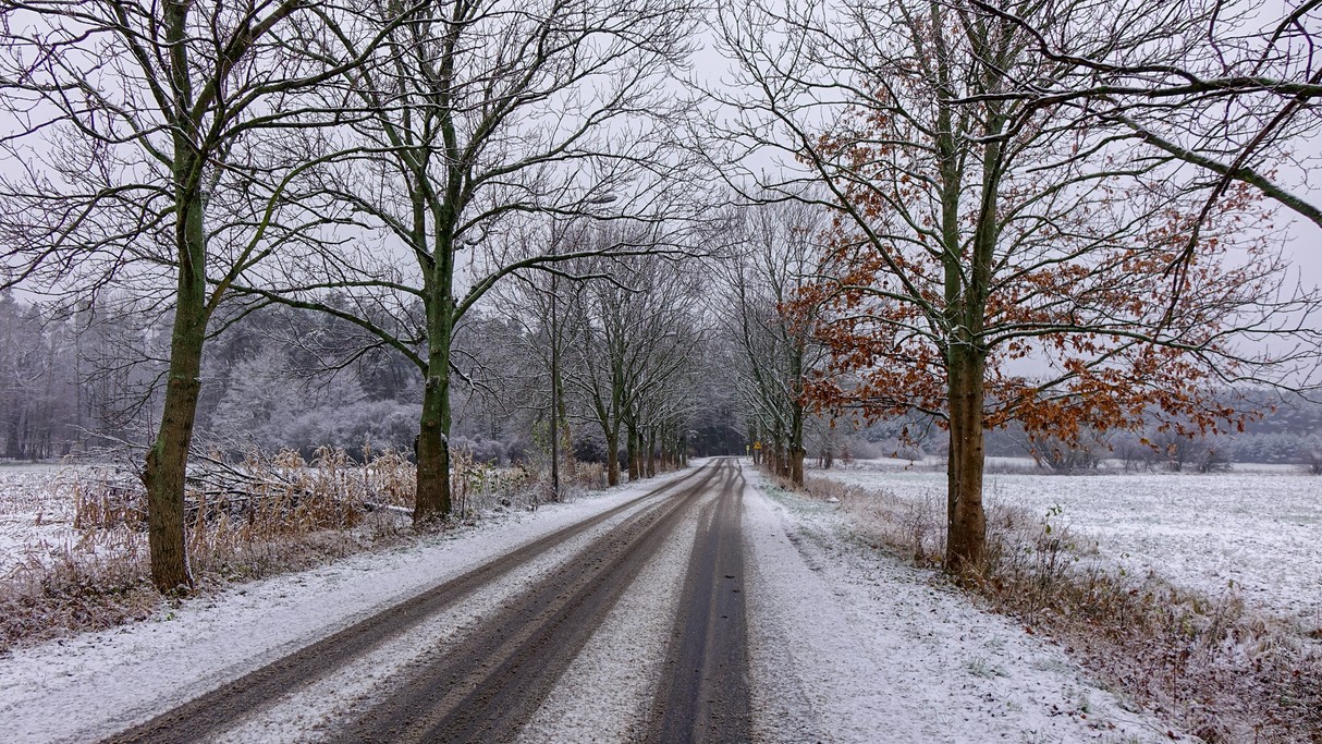 Grudzień w obiektywie - zdjęcie 4