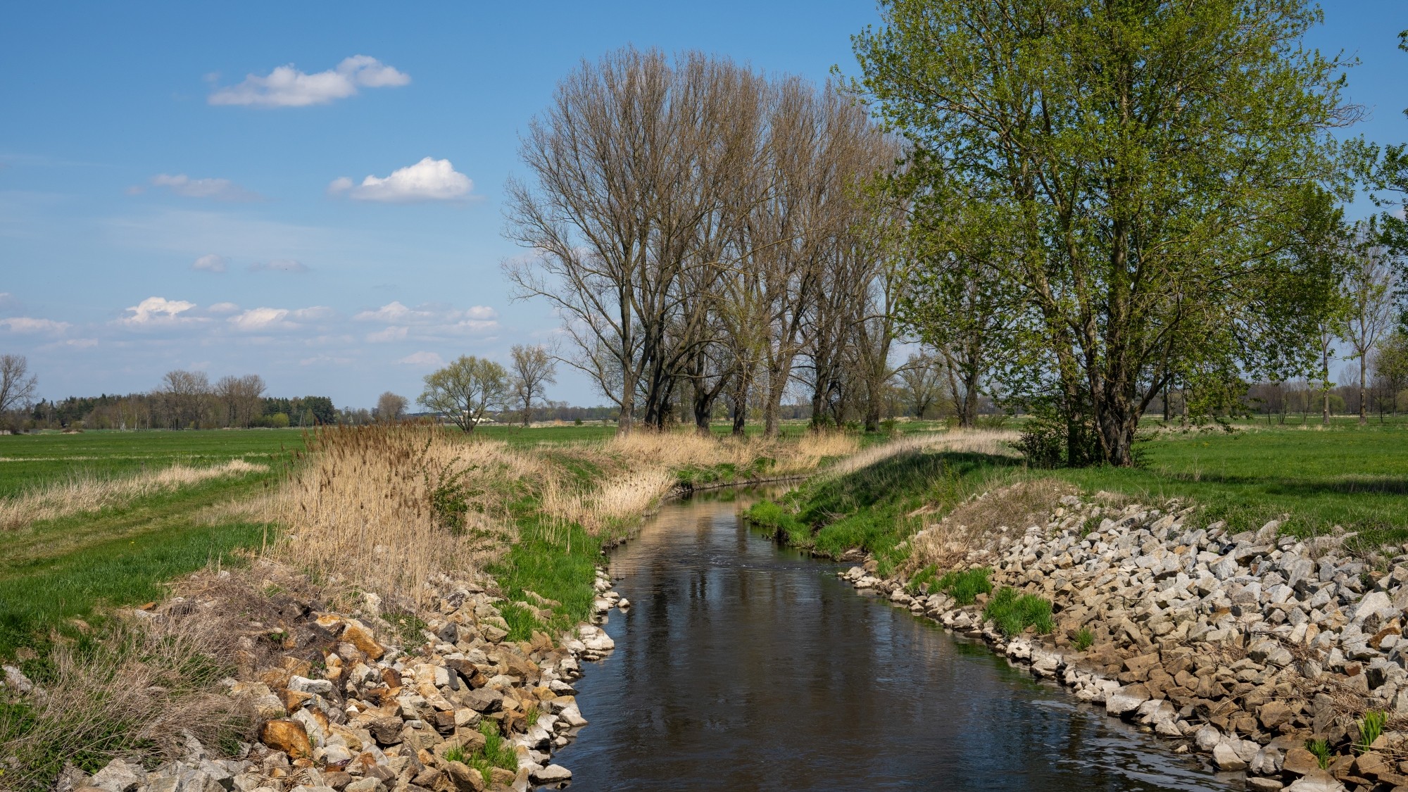 Wiosenna opowieść - zdjęcie 21