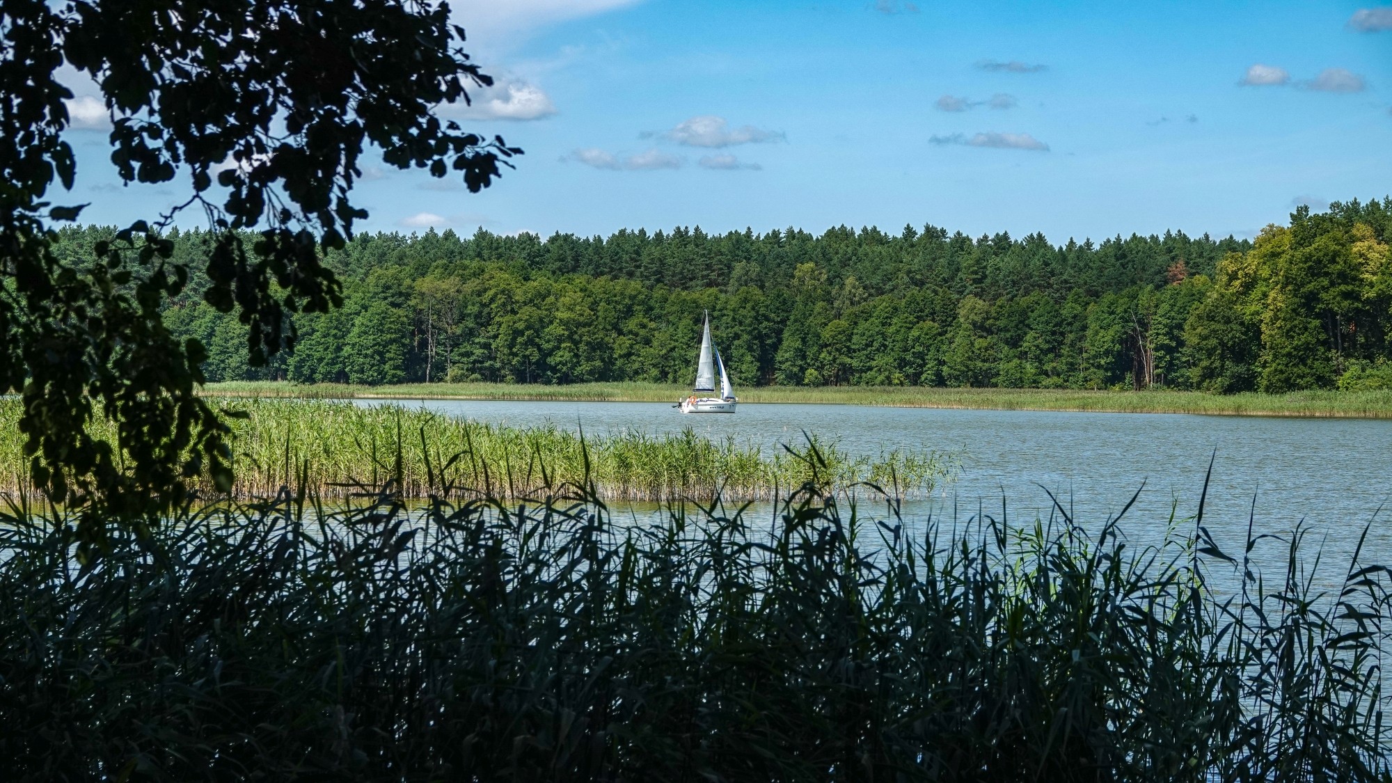 Na pożegnanie lata - zdjęcie 26