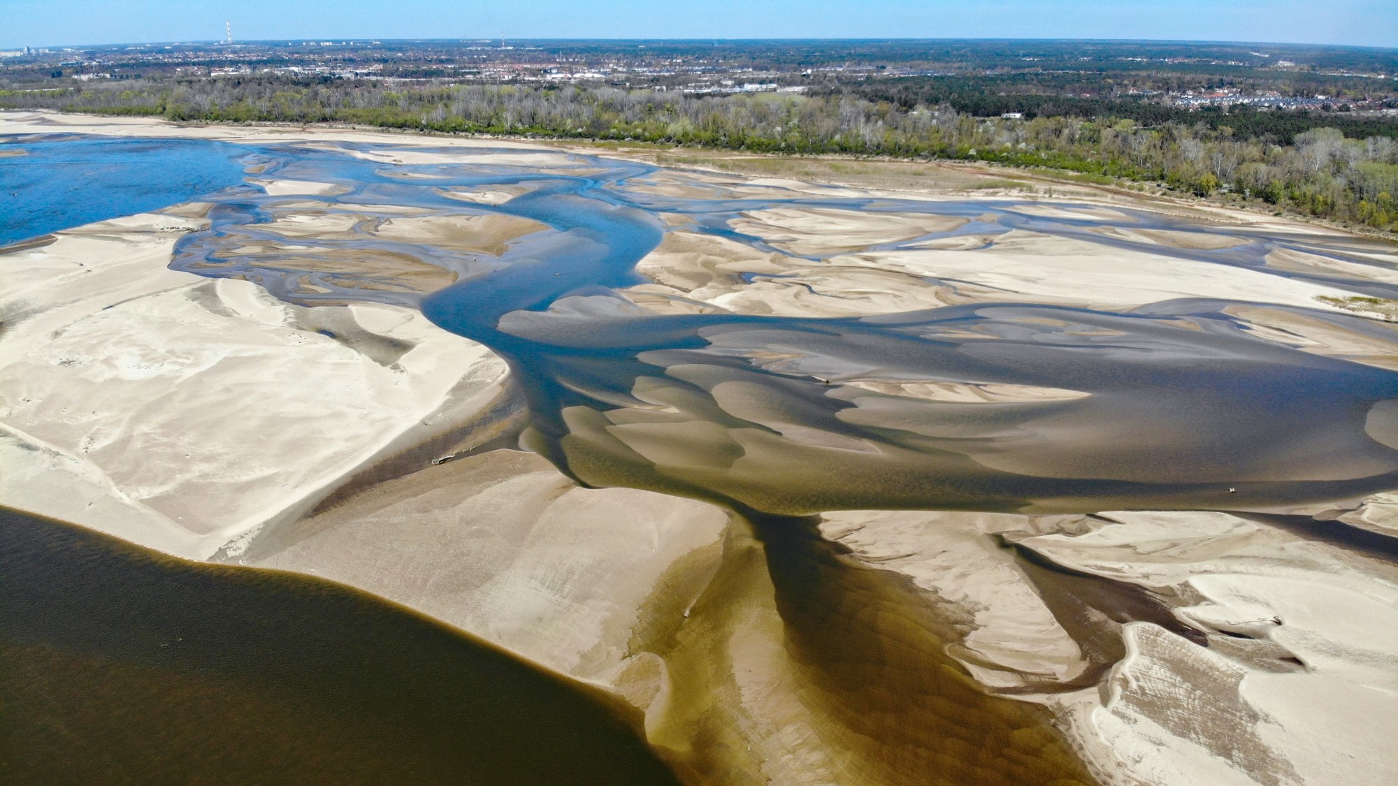 Susza na Wiśle - zdjęcie 10