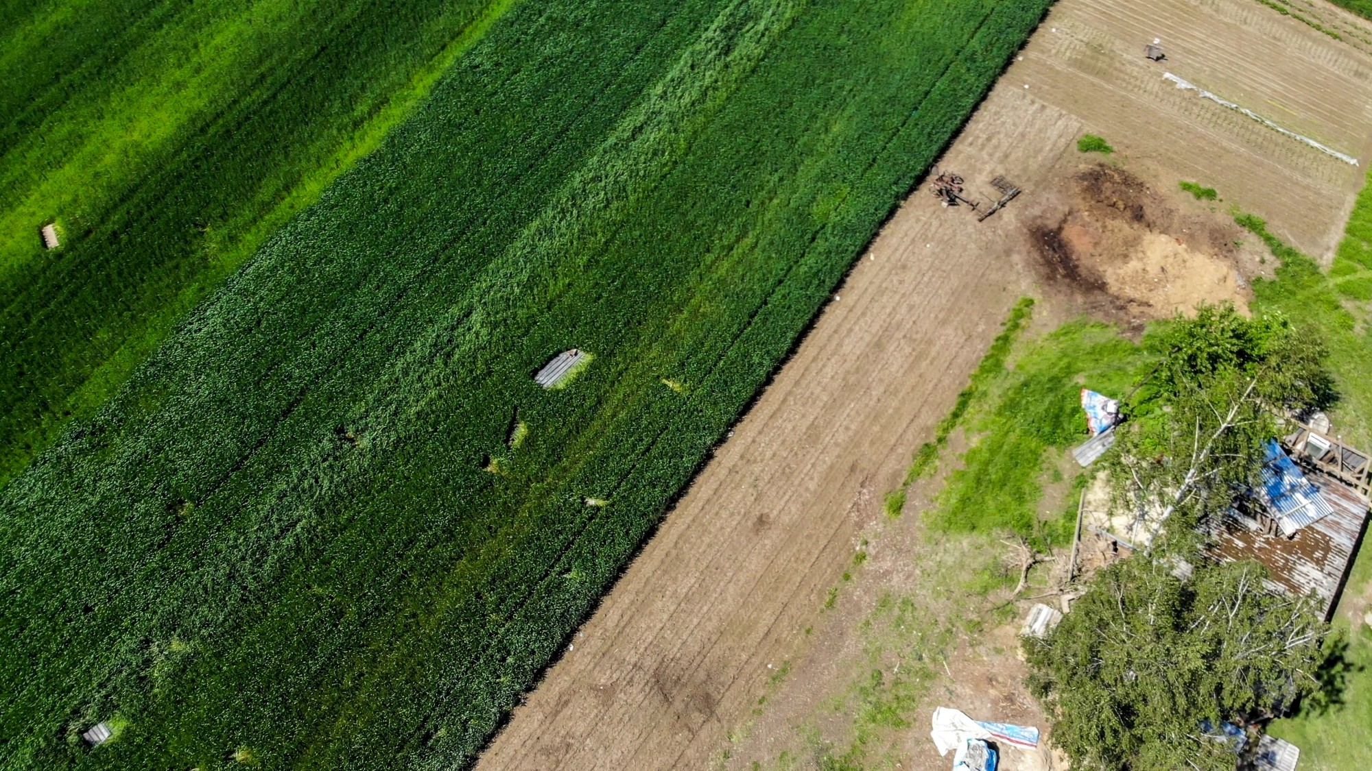 Tornado na Lubelszczyźnie - zdjęcie 34