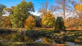 31.10.2020 10:00 Jesień pokazała nam swoje wszystkie barwy. Zobacz, jak pięknie jest teraz w całej Polsce