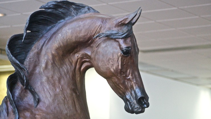 "Bask" - historia polskiego konia, na punkcie którego oszalała Ameryka