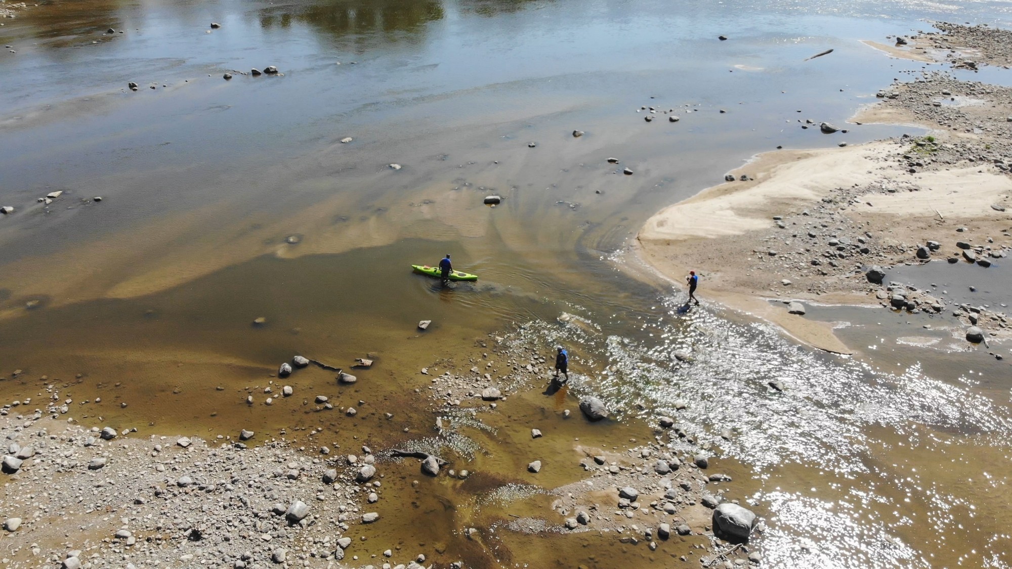 Susza na Wiśle - zdjęcie 8