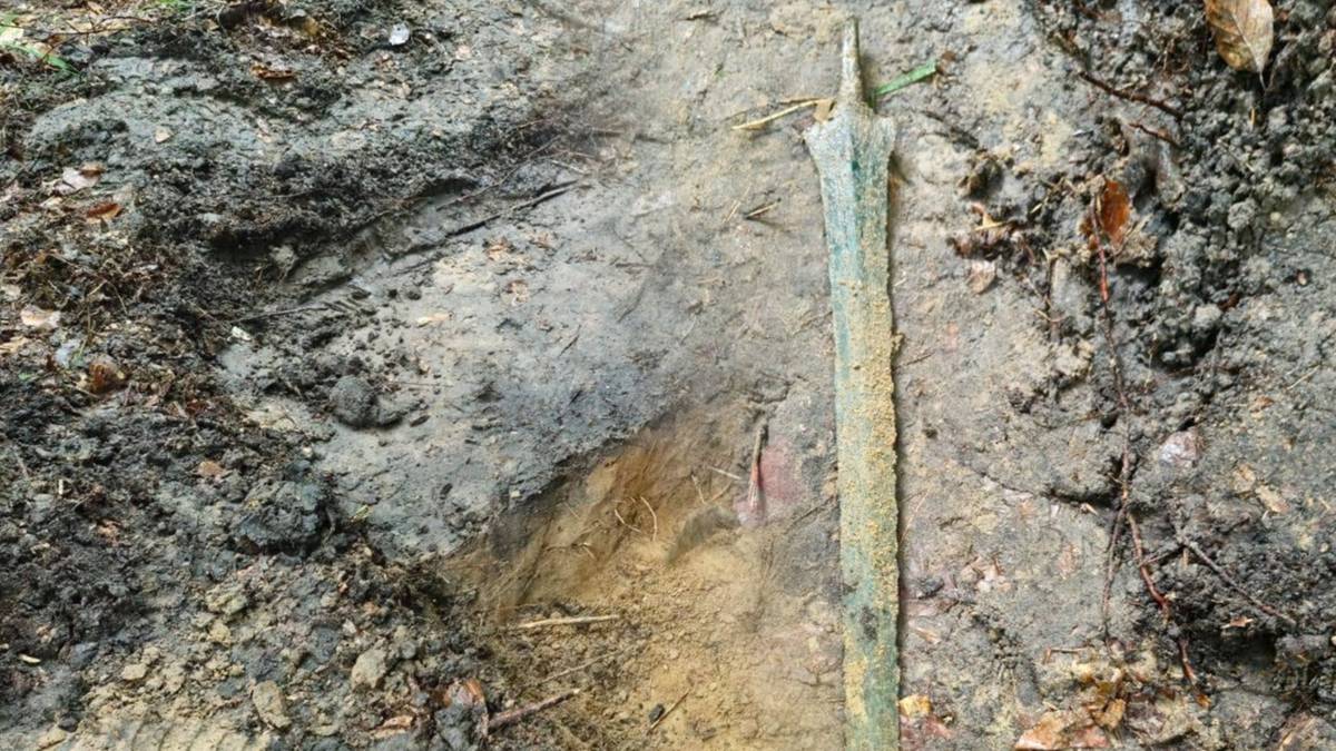 "Mógł być wart tyle, co całe stado krów". Znalezisko w gdańskim lesie ma niemal 3 tys. lat