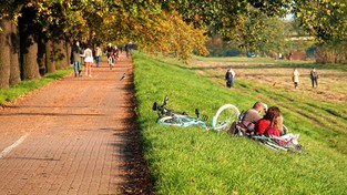 22.09.2022 06:00 Odliczamy dni do babiego lata. Będzie słonecznie, a na termometrach nawet 25 stopni w cieniu. Kiedy?