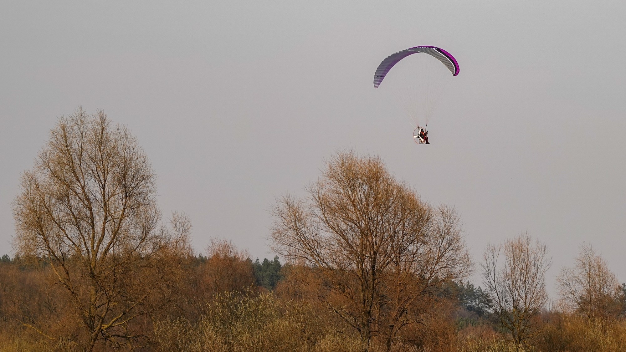 Marzec w obiektywie - zdjęcie 46
