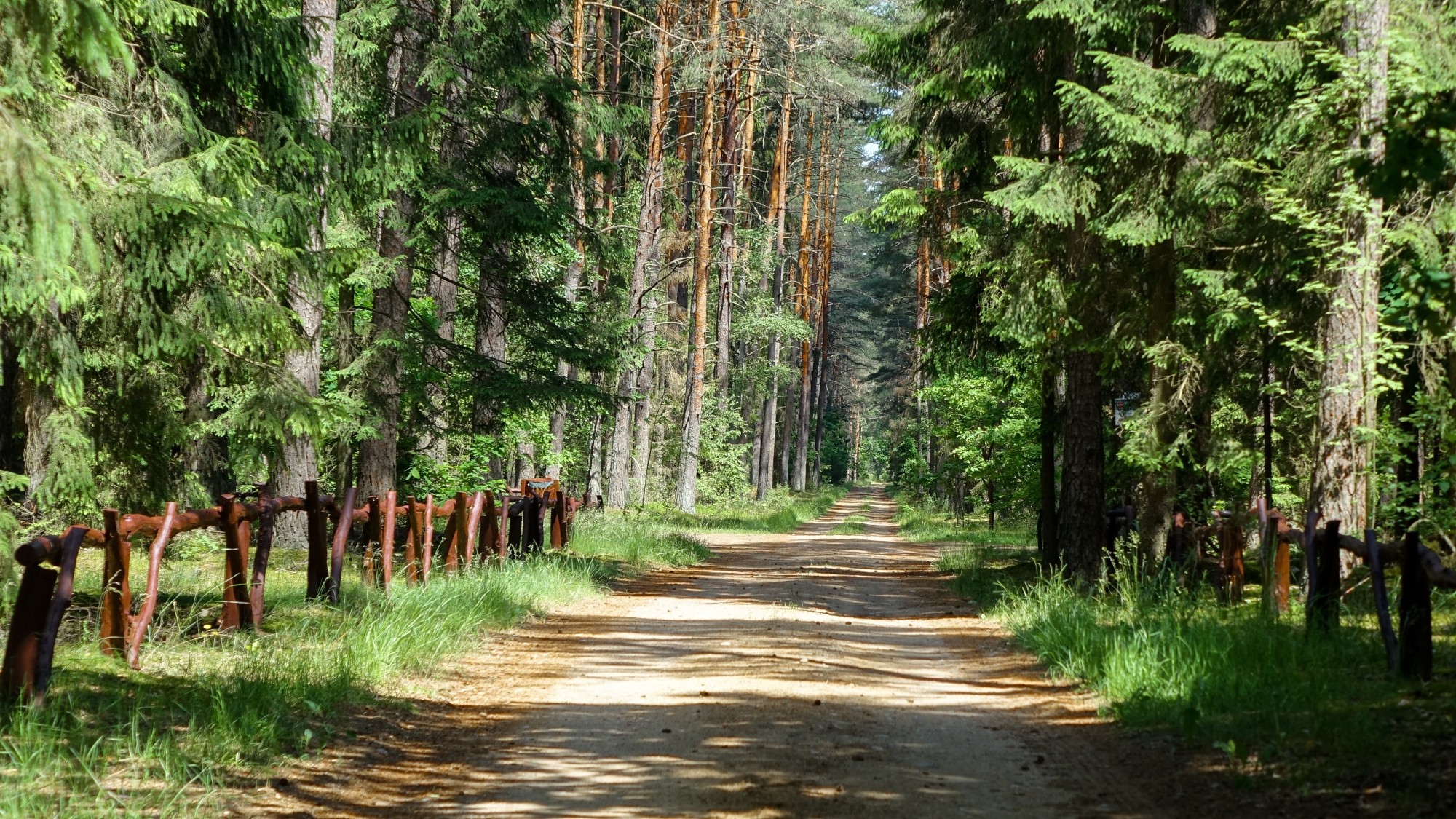 Urocze zakątki w lasach - zdjęcie 14