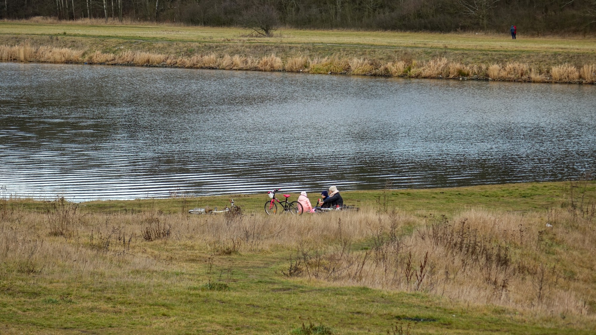 Najcieplejsza zima w historii - zdjęcie 28