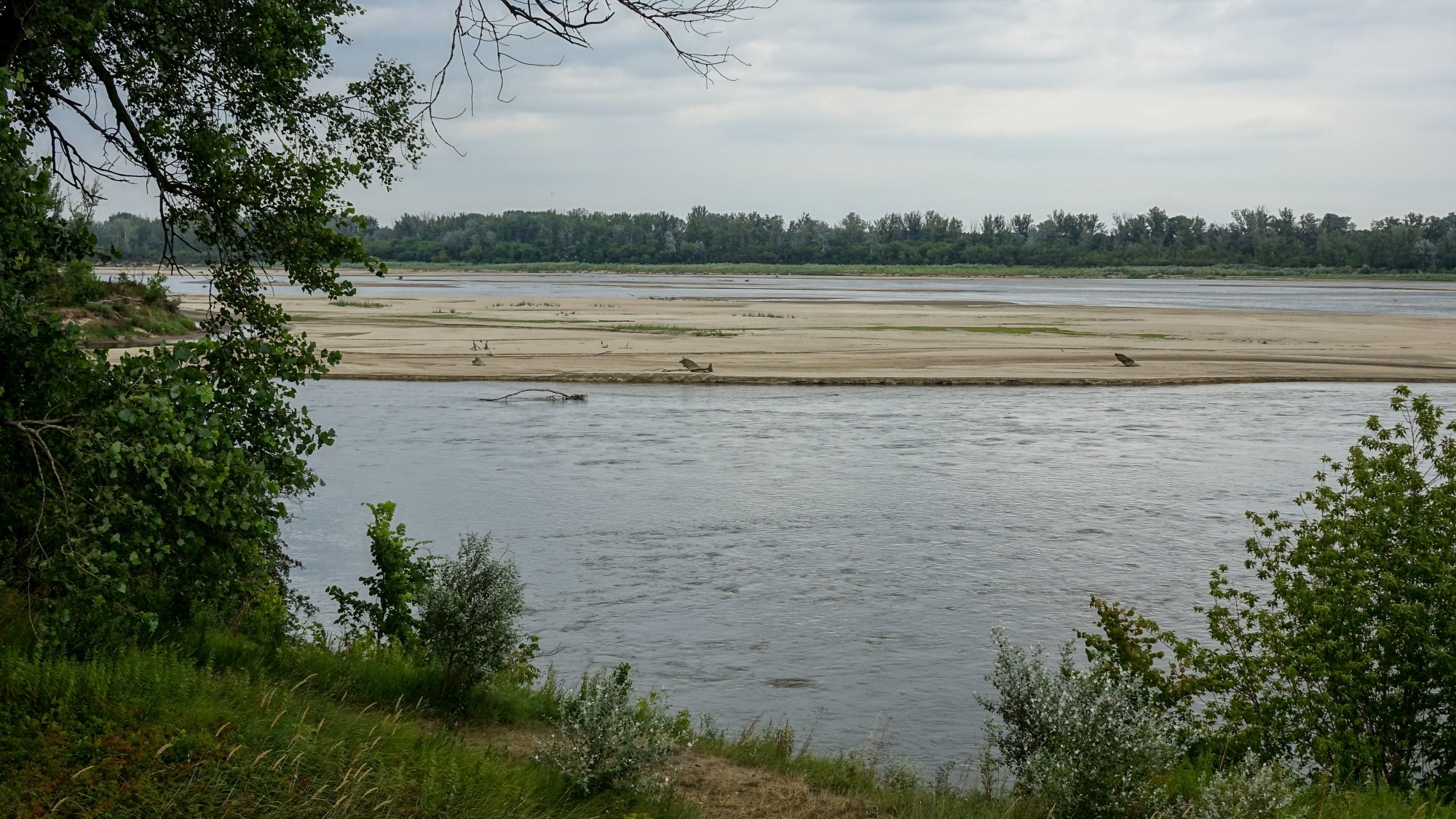 Lipiec w obiektywie - zdjęcie 50