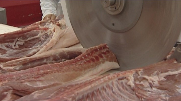 Słowenia: w mięsie z Polski wykryto salmonellę