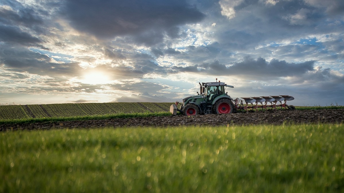 Zakup gruntów rolnych od KOWR – czy postępowania przetargowe ulegną zmianie? Nowe ustalenia NIK