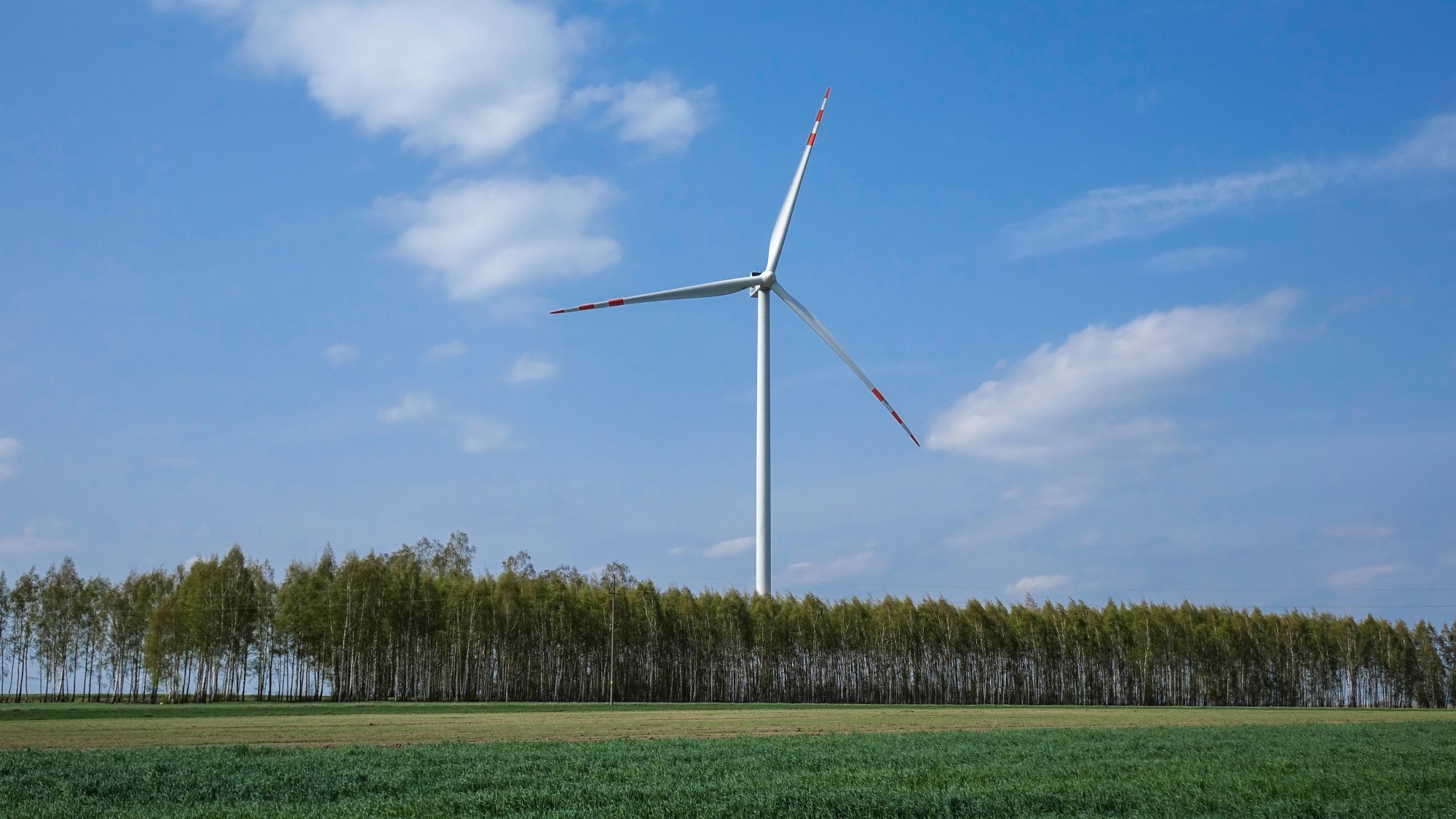 Marzec w obiektywie - zdjęcie 27