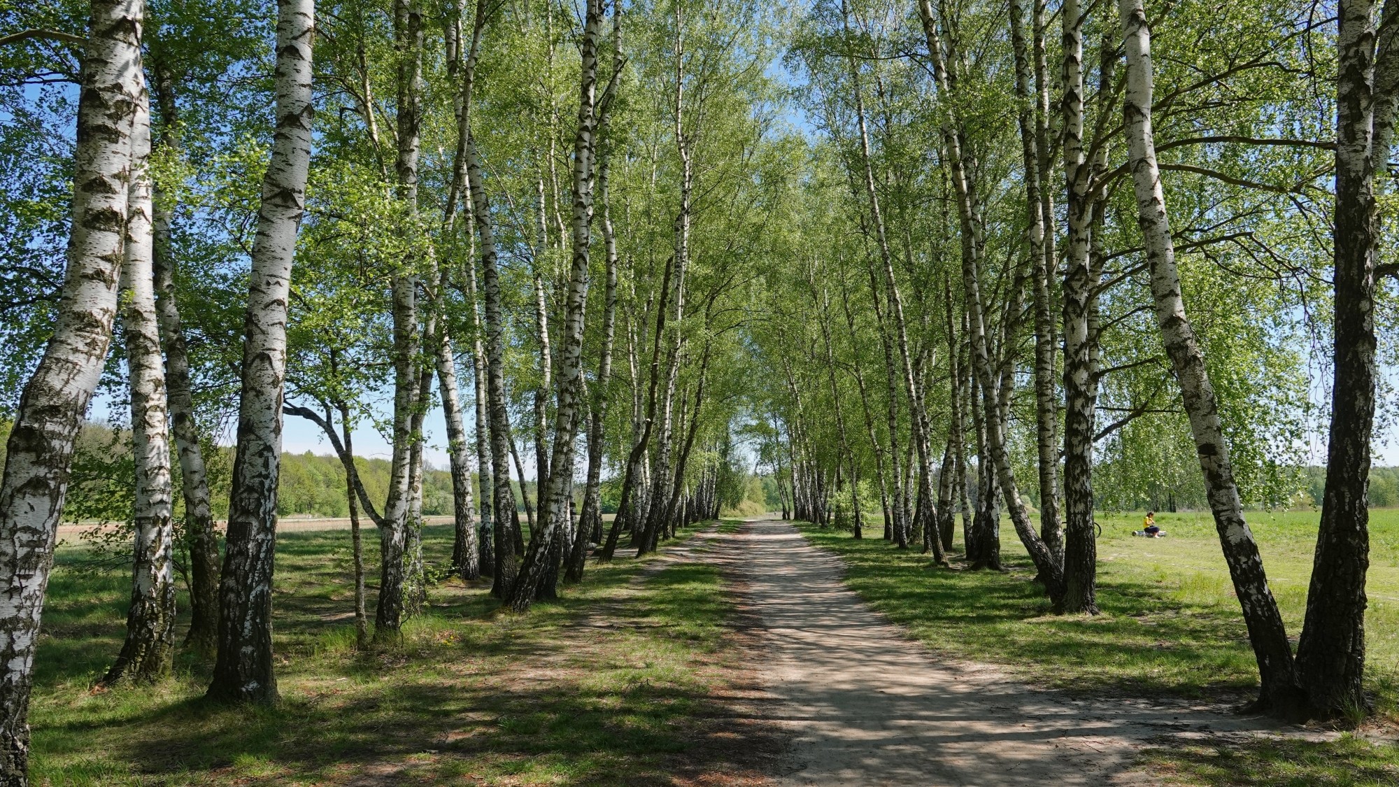 W maju jak w raju - zdjęcie 16