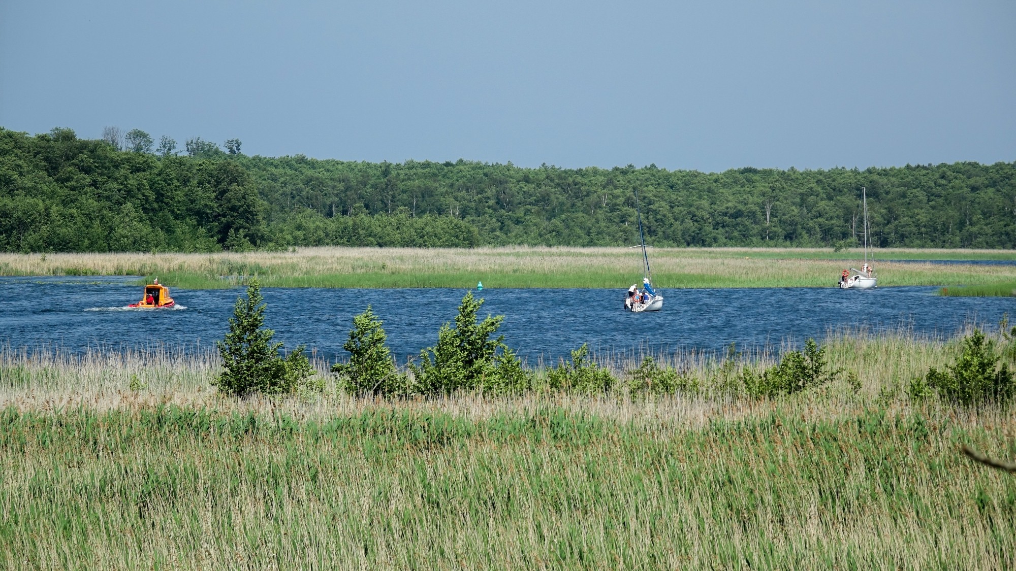 Czerwiec w obiektywie - zdjęcie 50