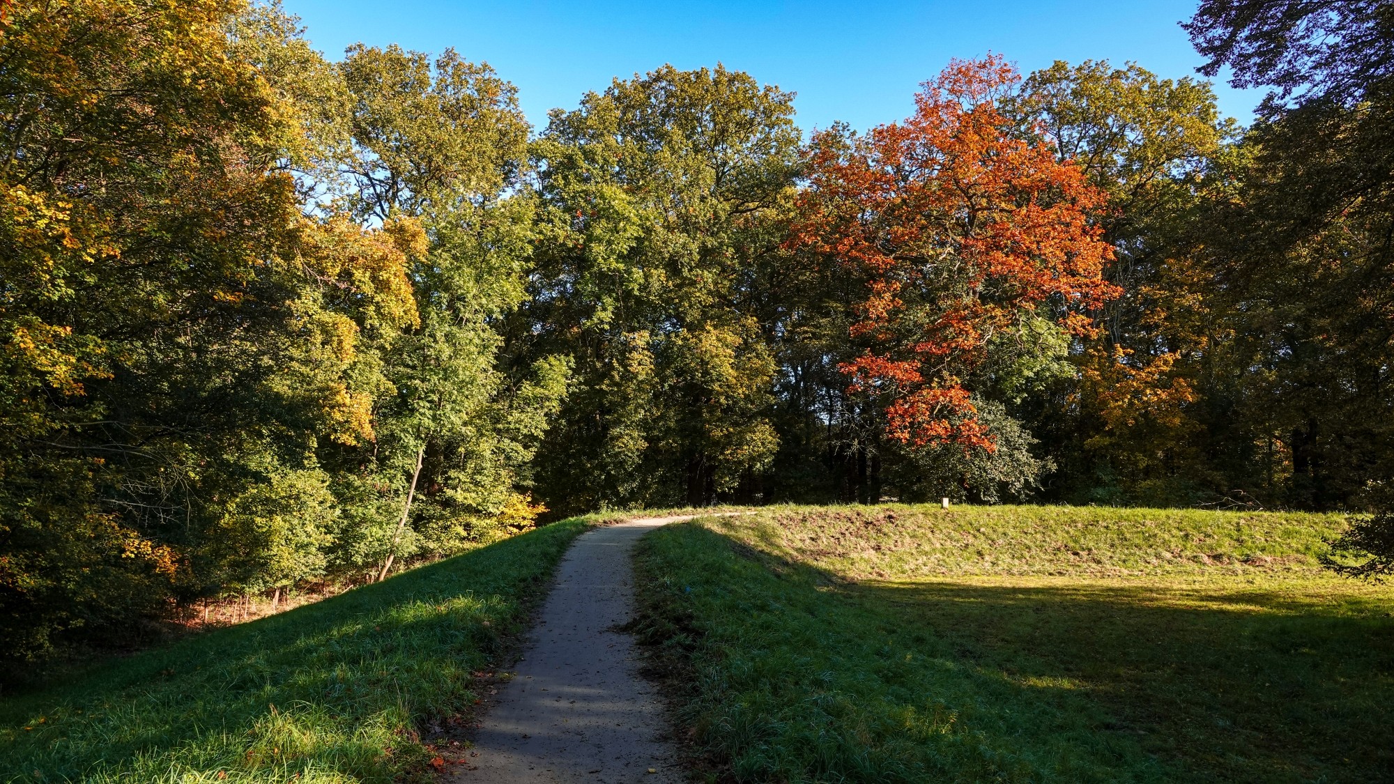 Wszystkie barwy jesieni - zdjęcie 24