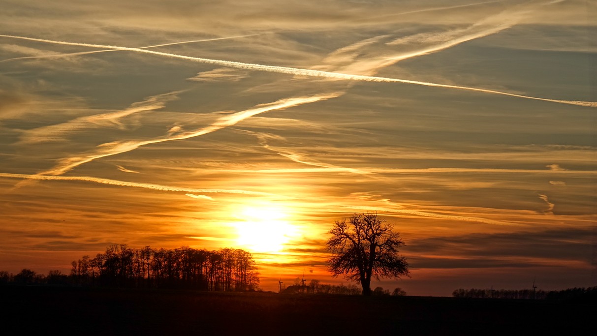 Marzec w obiektywie - zdjęcie 6