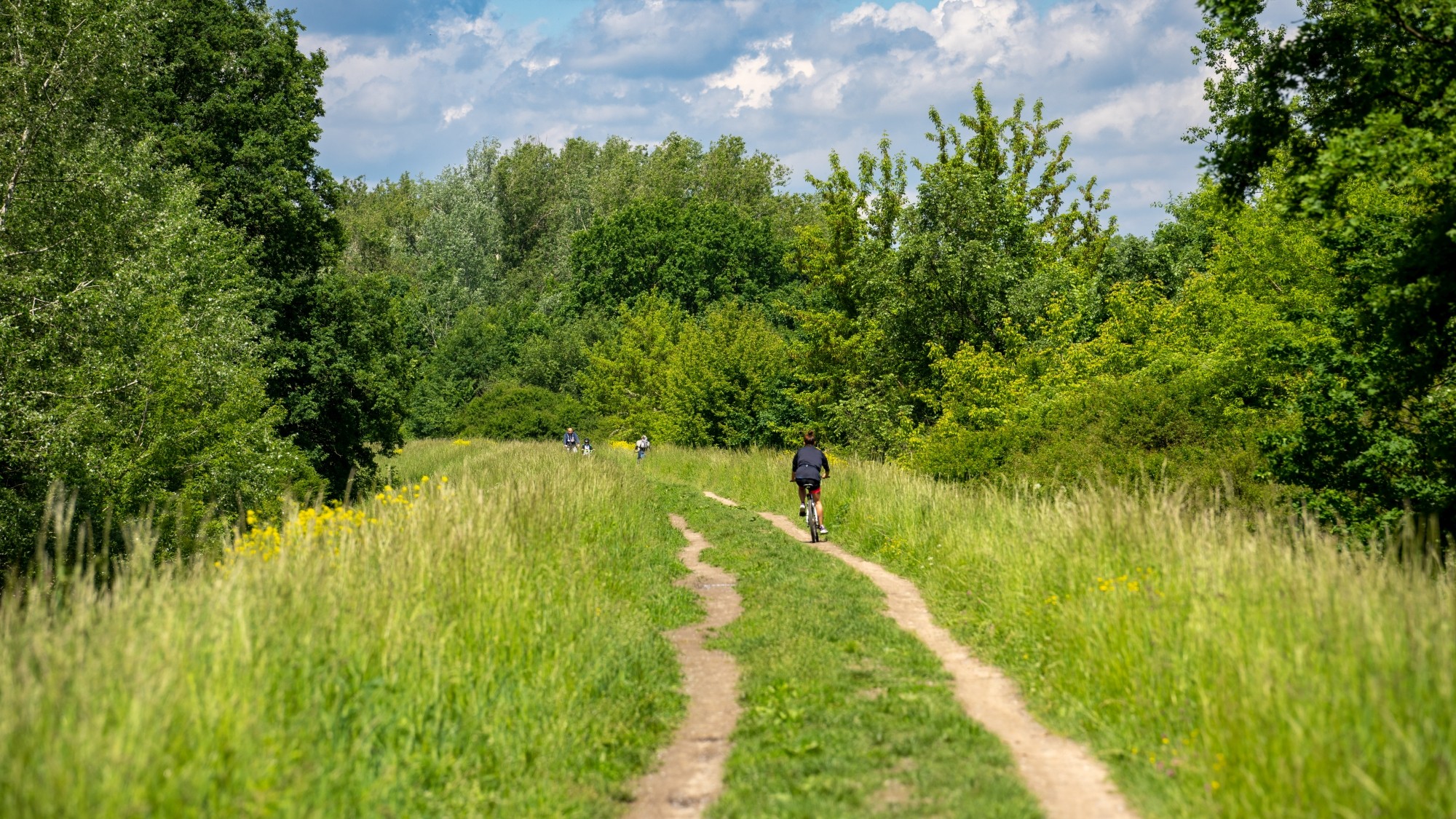 Lato na prowincji - zdjęcie 34