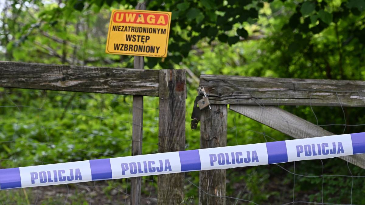 Makabryczne odkrycie pod Rzeszowem. Nowe informacje o płodach zakopanych na działce