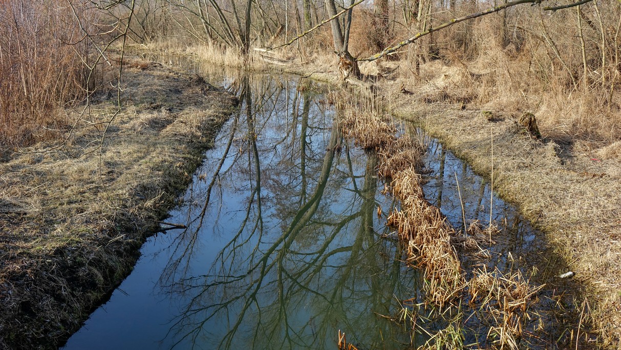 Luty w obiektywie - zdjęcie 18