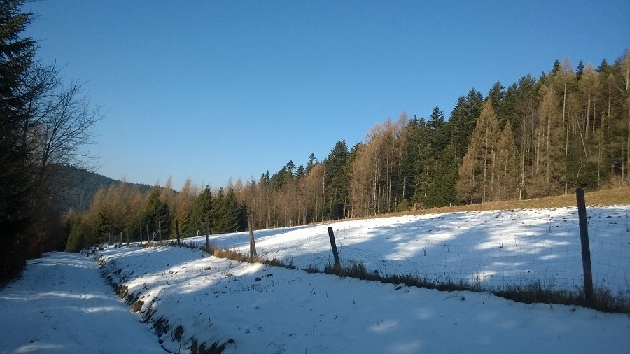 Odwilżowa pogoda w Uhryniu w Beskidzie Sądeckim. Fot. Piotr / TwojaPogoda.pl