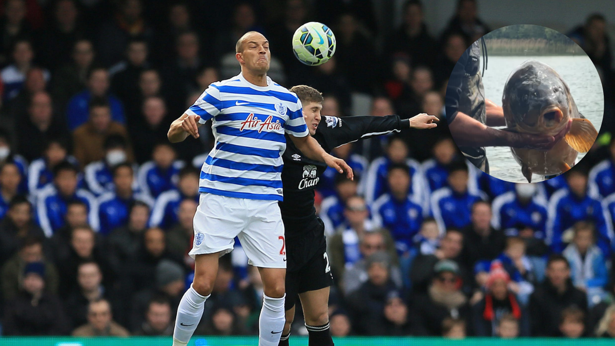 Piłkarz Anton&iacute; Reyna podczas meczu piłki nożnej, w prawym g&oacute;rnym rogu zdjęcie ręki trzymającej złowionego karpia.