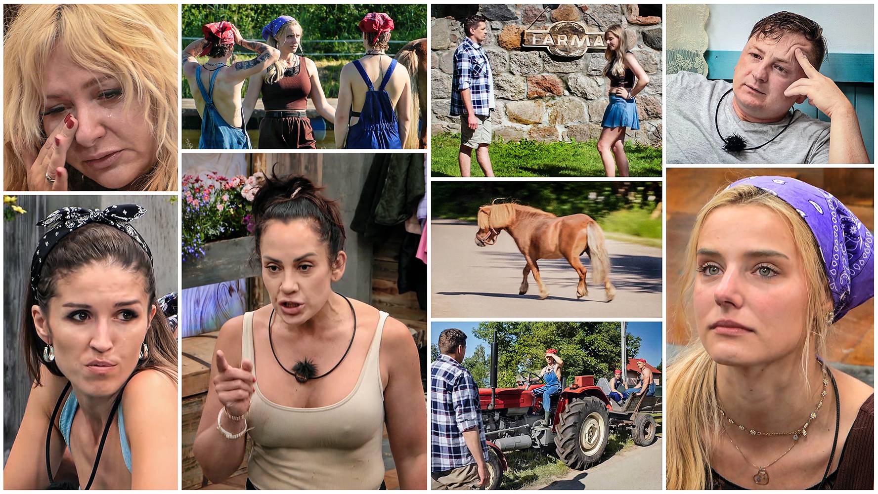 &bdquo;Farma&rdquo; - edycja 5, odcinek 6: Końska dawka wiedzy. Bolesna!