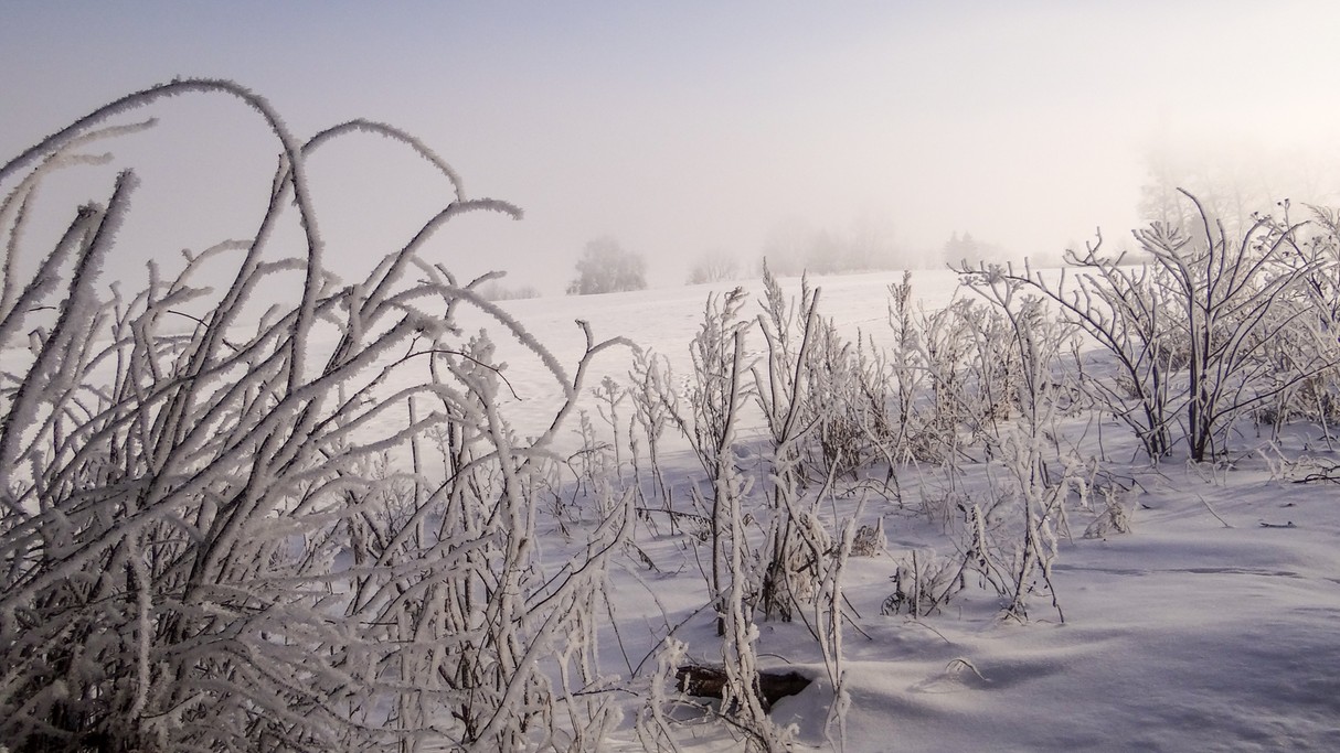 Minione zimy w Polsce - zdjęcie 16
