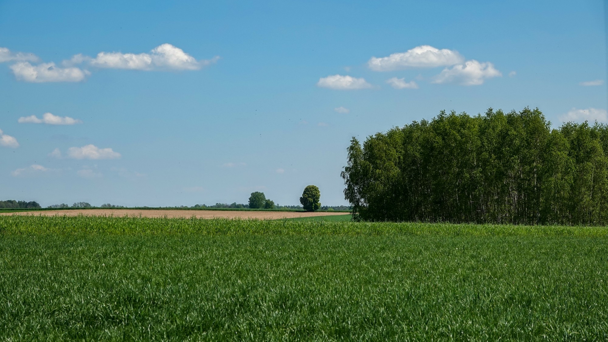 Całe piękno późnej wiosny - zdjęcie 11