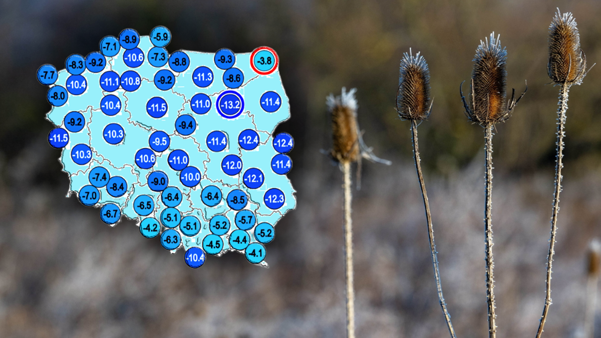 Pogoda na święta. Kilka regionów z szansą na uniknięcie mrozu