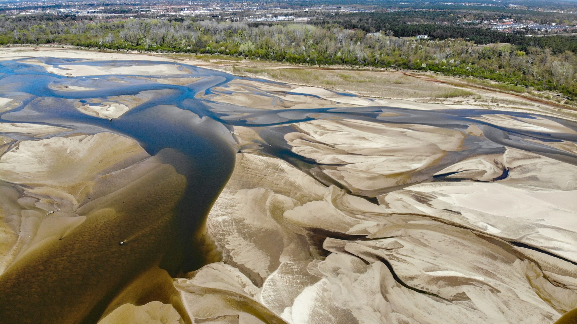 Susza na Wiśle - zdjęcie 18