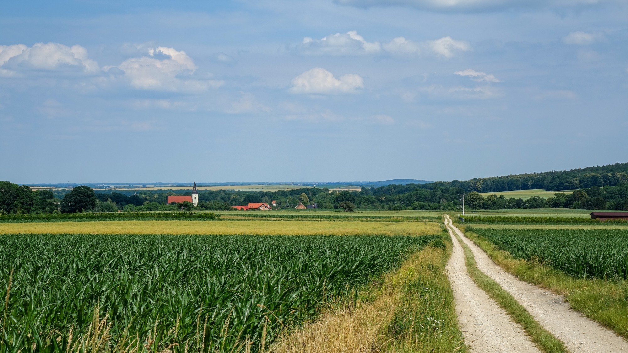 Czerwiec w obiektywie - zdjęcie 7