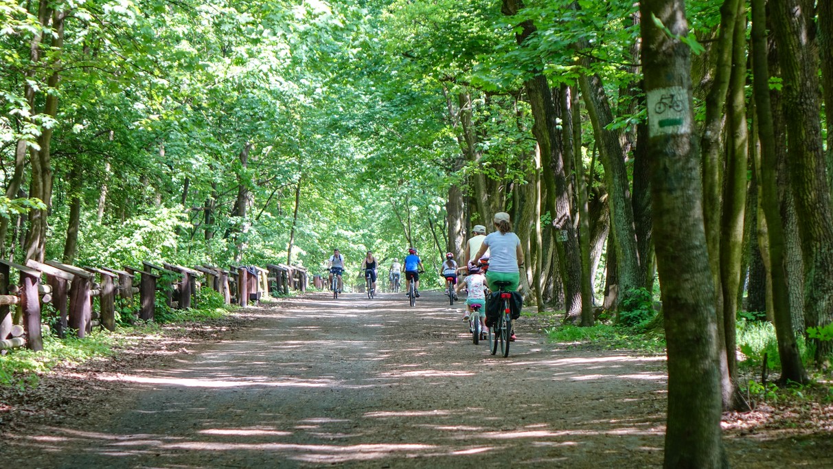Polskie krajobrazy w 2018 roku - zdjęcie 71